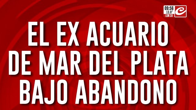 Tras el cierre del acuario de Mar del Plata crecen las denuncias por maltrato animal