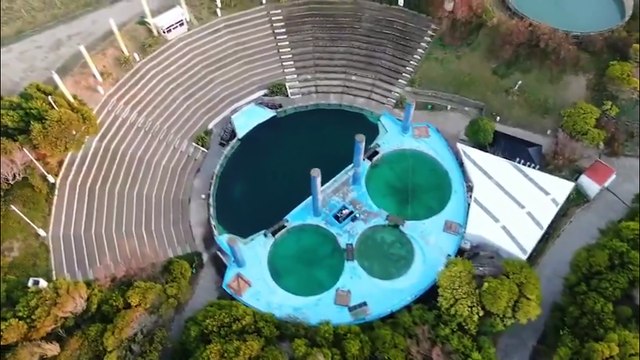 Mar del Plata | Denuncian animales abandonados en el ex Aquarium