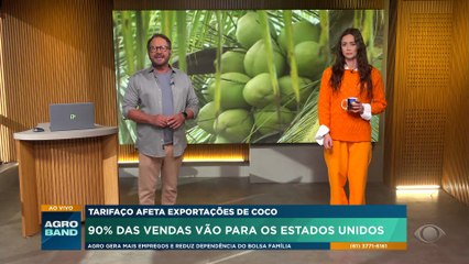 Água de coco: 90% das vendas são para os Estados Unidos