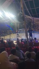 مشاهد حقيقية مرعبة من السيرك المصري  #vlogs #viral