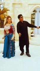 New viral Malko song video Dedication most popular video in Hindi Urdu