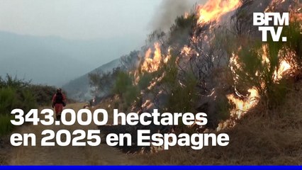 Deux pompiers sont morts dans les incendies historiques qui frappent l'Espagne et le Portugal