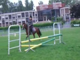 Une cavalière sur Mélyse FDS 2008 CSO G4-5