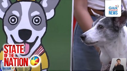 ASPIN, binigyang pagkilala sa Palarong Pinoy at Art Exhibit for a cause | SONA