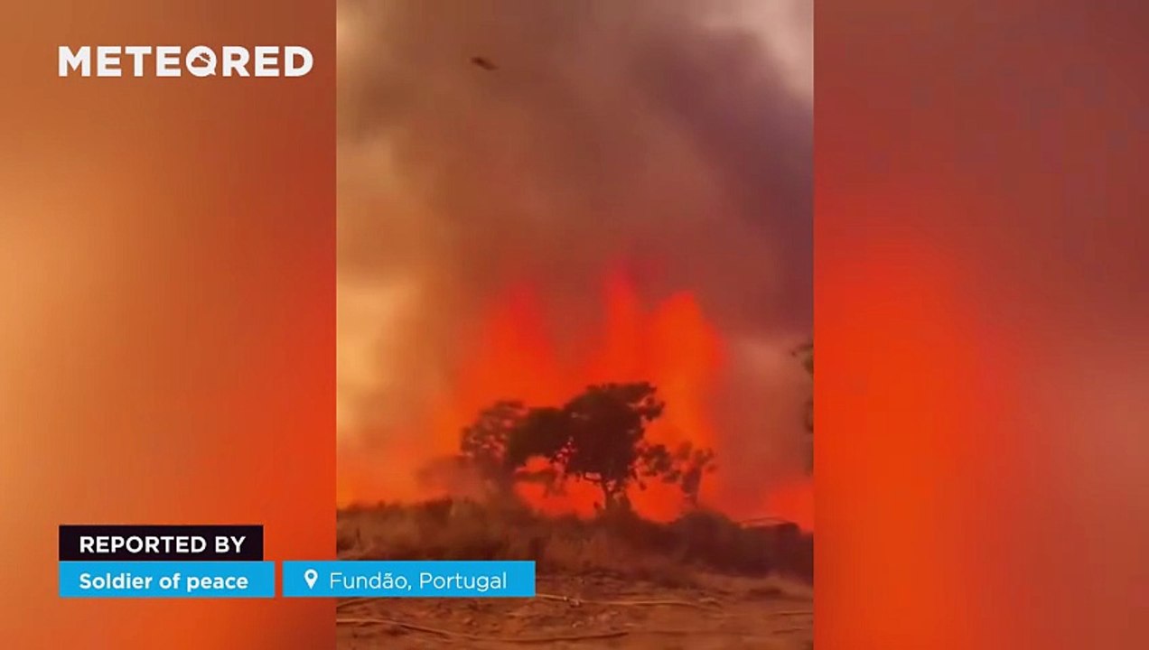 A dangerously fierce wildfire is raging through Fundão, Portugal! People and animals have been evacuated, while massive flames continue to spread out of control across the area