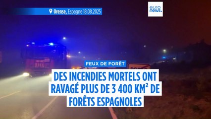 L'Espagne déploie des centaines de soldats supplémentaires pour lutter contre les feux de forêt