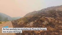 Así ha quedado Picos de Europa tras el paso del fuego