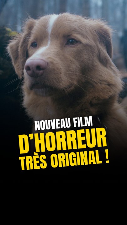 Nouveau film d'horreur au concept très original