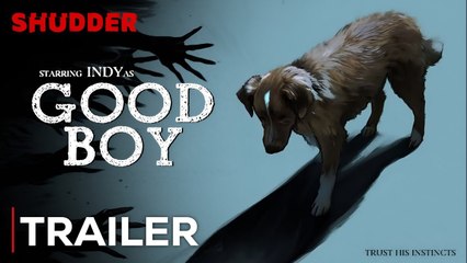 Good Boy - Official Trailer - Horror Dog Movie - 2025