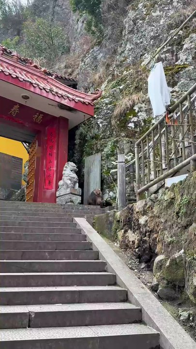 Doesn’t Xingxing look like a little girl playing in the park？ So cute..