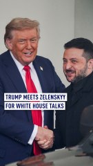 Trump meets Zelenskyy for White House talks
