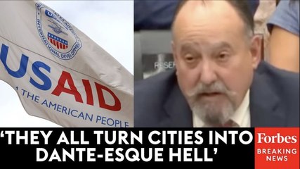 Heritage Foundation Fellow Rails Against 'Leftist NGOs' And USAID In Front Of Congress