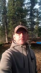 Cet habitant de Côte-d'Or quitte tout et part vivre en pleine forêt Canadienne