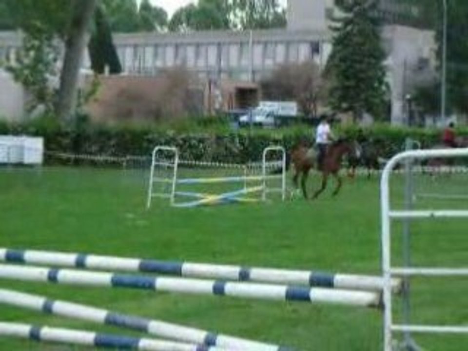 Une cavalière sur Haliple FDS 2008 CSO G4-5