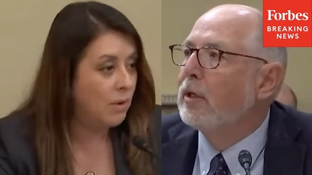 Luz Rivas Presses Harvard Law Professor On 'Harmful Impacts' From Changes To NEPA In BBB