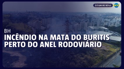 Incêndio na Mata do buritis perto do Anel Rodoviário