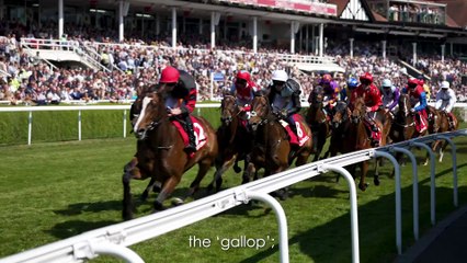 National Racehorse Week 2025 Launch Video