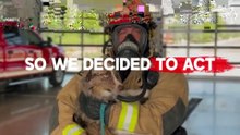 Firetag: Firefighter-Designed Pet Rescue Tag
