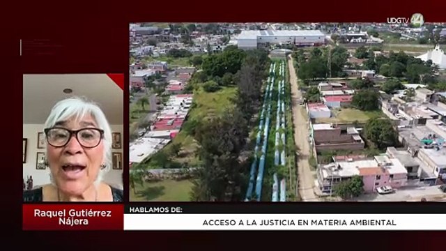 Acceso a la justicia en materia ambiental | Raquel Gutiérrez Nájera