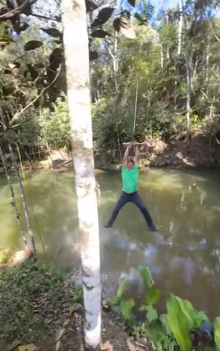 Man Falls Into Lake With Tree