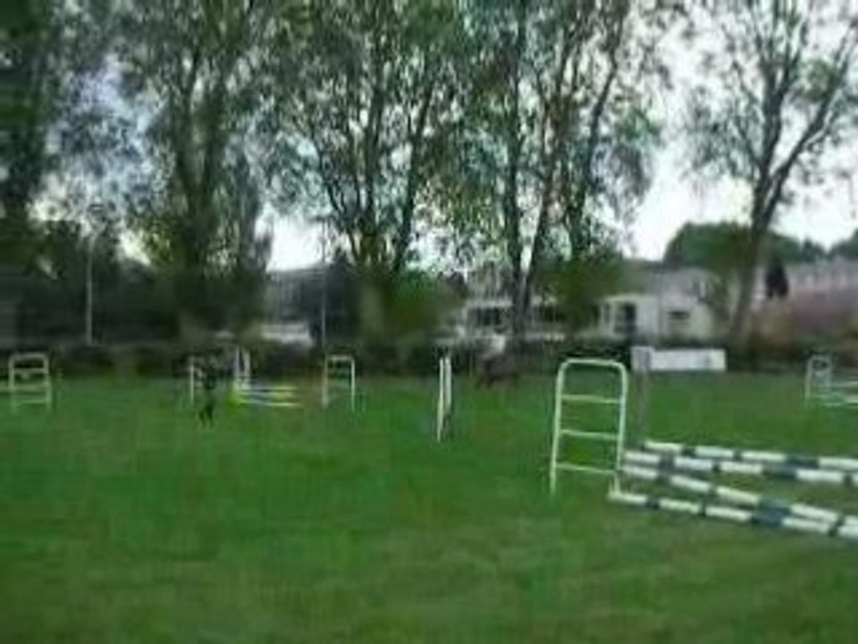 Amandine sur Jad'Or FDS 2008 CSO G4-5