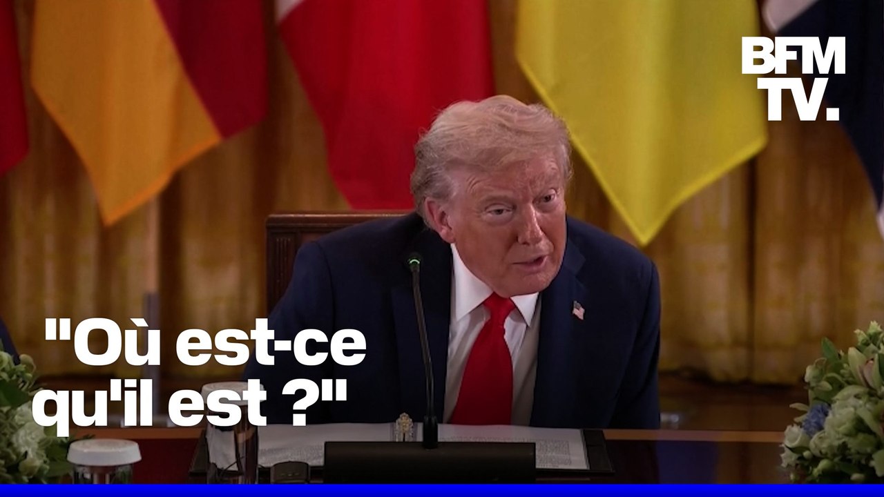 Sommet à Washington: Donald Trump parle du président finlandais sans réaliser qu'il est face à lui