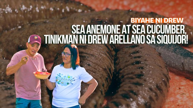 Sea anemone at sea cucumber, tinikman ni Drew Arellano sa Siquijor! | Biyahe ni Drew