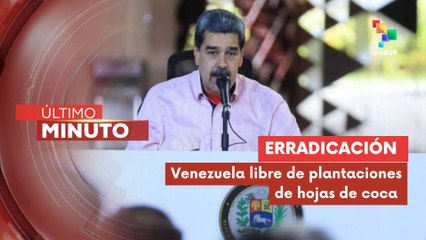 Venezuela respalda plan del gobierno colombiano para sustituir hectáreas de coca en Catatumbo