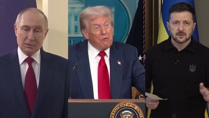 트럼프 "푸틴-젤렌스키 회담 조율 착수...이후 3자회담" / YTN