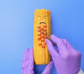 Fruit Surgery: Watch This Surprisingly Fascinating Skill in Action!