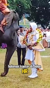 Gajah Sumatera Warnai Upacara HUT ke-80 RI di BBKSDA Riau