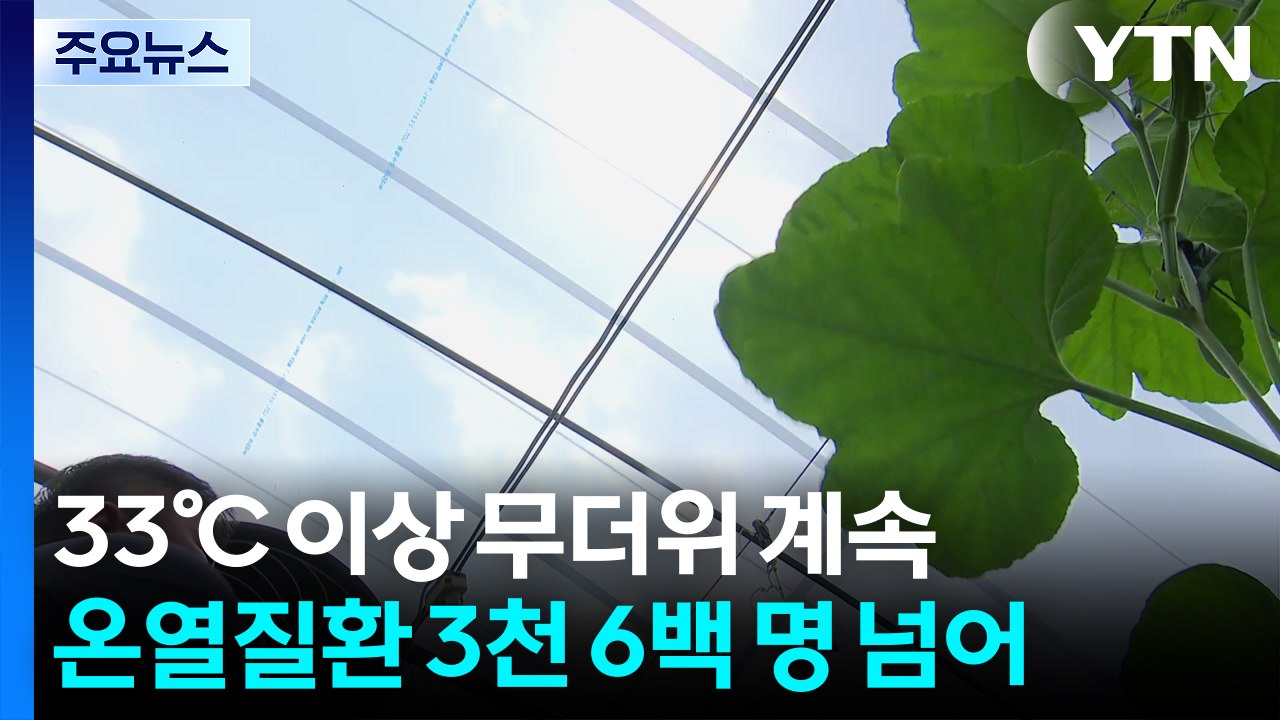 [날씨] 폭염 속 온열질환↑...기상청 "비닐하우스, 최고 11.5℃ ↑" / YTN