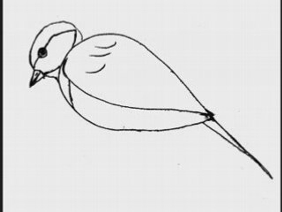 Mésange