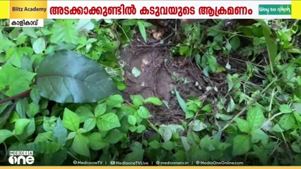 മലപ്പുറം കാളികാവ്  അടക്കാക്കുണ്ടിൽ വീണ്ടും കടുവയുടെ ആക്രമണം... | Tiger attack | Kalikavu