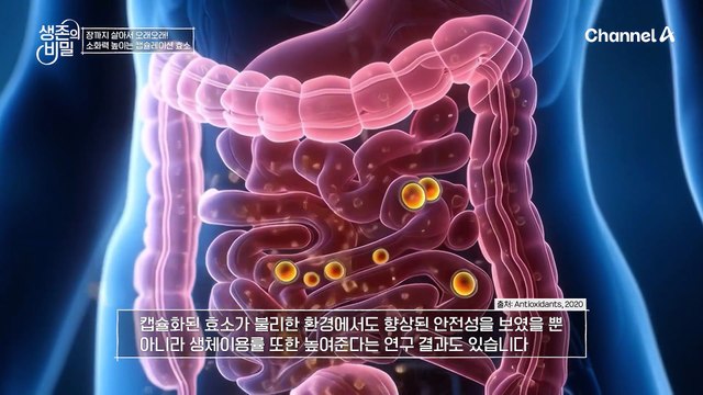 소화력 개선! 나잇살 타파! 누구나 할 수 있는 소화력 개선 다이어트