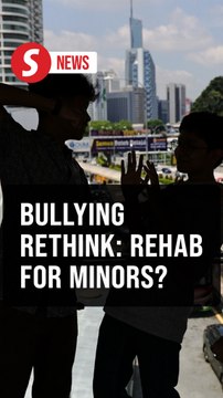 Government to consider rehabilitative methods in bullying cases involving minor perpetrators
