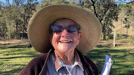 Girlie Goody has every colour of the rainbow in her herd, except green
