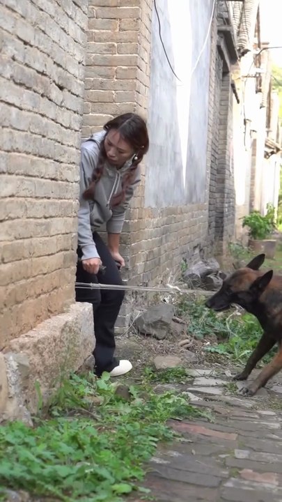 amazing dog 👍