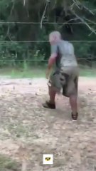 Hilarious Human Epic Fails Caught on Camera – You Won’t Believe