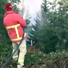 Yanan ormanların yeşertilmesinde ‘ekolojik denge’ uyarısı