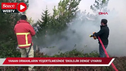 Yanan ormanların yeşertilmesinde ‘ekolojik denge’ uyarısı