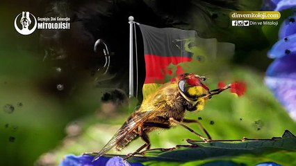 KUR'AN'DA DİŞİ ARI MUCİZESİ Mİ VAR