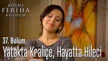 Yatakta Kraliçe, Hayatta Hileci - Adını Feriha Koydum 37.Bölüm