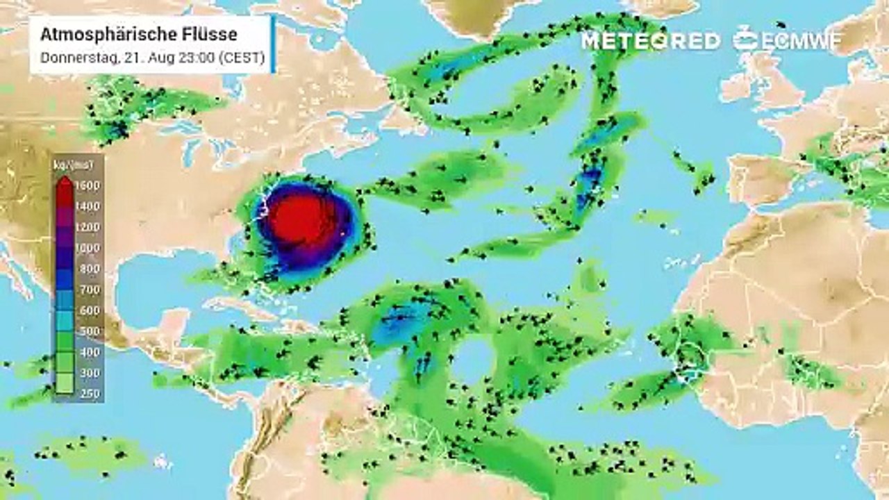 Hier rauscht der Hurrikan Erin an den USA vorbei in Richtung Europa!