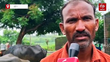 गावात माणसं कमी, म्हशी जास्त! अमरावतीजवळचं दिवानखेड बनलं 'दुग्धगंगा'