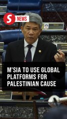 Malaysia to use all international platforms to champion Palestinian rights, says Tok Mat