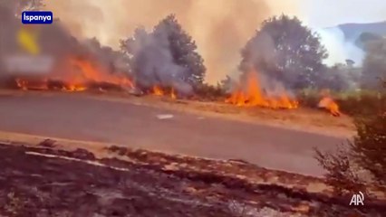 İspanya'daki yangın söndürme çalışmalarında hayatını kaybedenlerin sayısı 4'e çıktı
