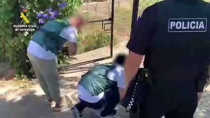 Detenidos por robar dos galgos a los que cortaron los pulgares de las patas delanteras