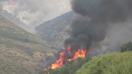 Un total de 382.607 hectáreas han ardido en España en lo que va de año, según Copernicus