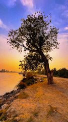 Beautiful View  My Village  #maxrecords #villagelife #larkana #sindh #pakistan